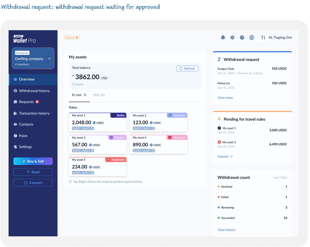 CaseStudy_WalletProWeb_OverviewDashboard